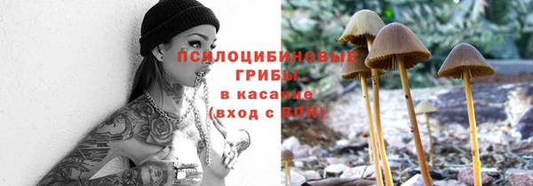 бошки Алексин