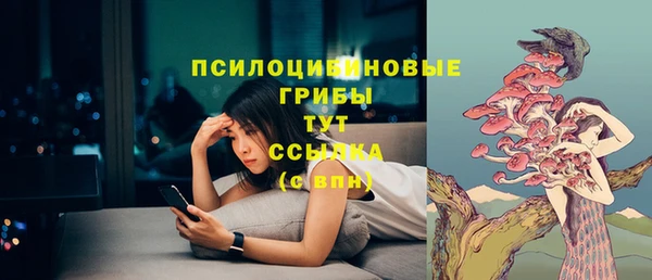 бошки Алексин