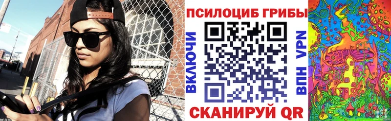 продажа наркотиков  Находка  это клад  Галлюциногенные грибы Cubensis 
