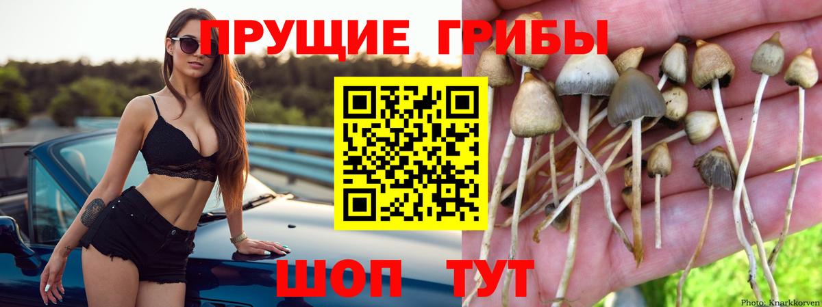 Псилоцибиновые грибы Magic Shrooms Находка